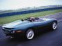 Jaguar-Misc-017.jpg